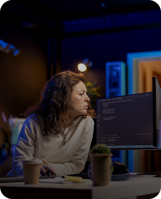 Software Development